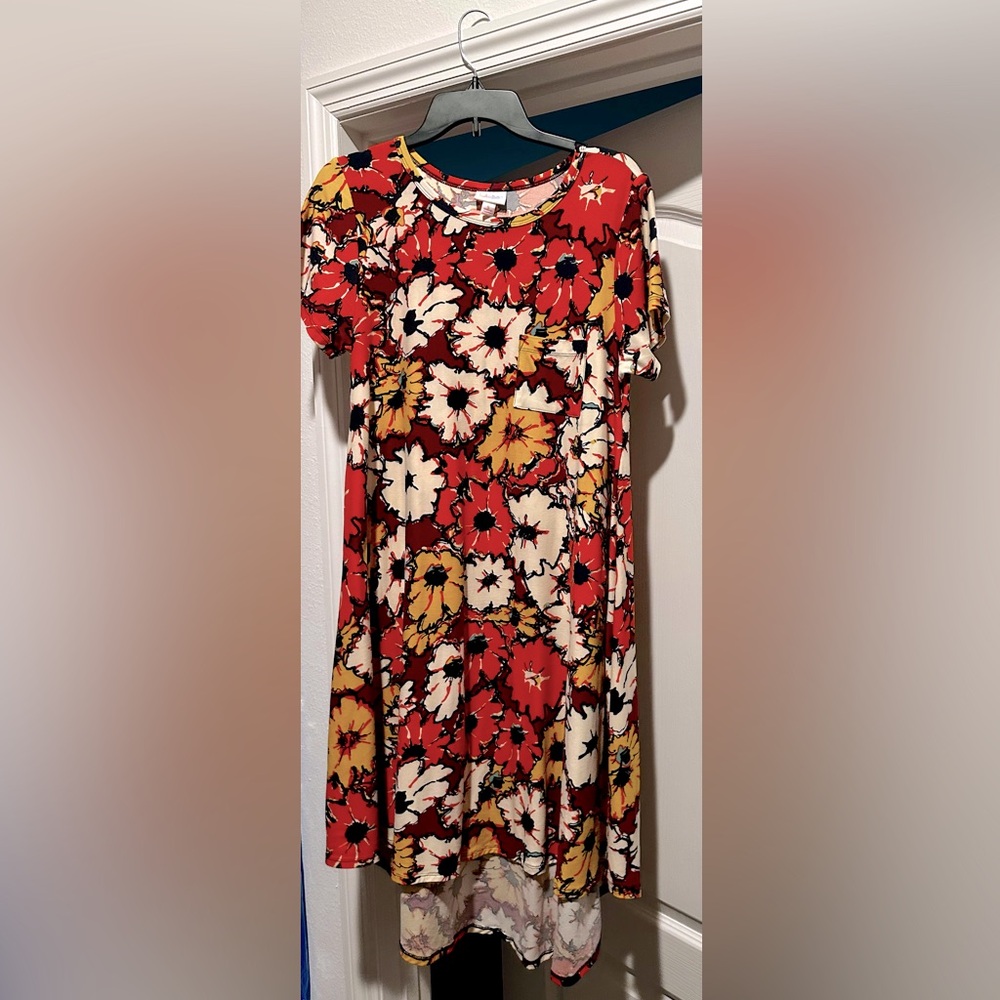 LuLaRoe Carly dress with flowers